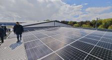 Calex Satu Nou de Jos 228 kwp (6)